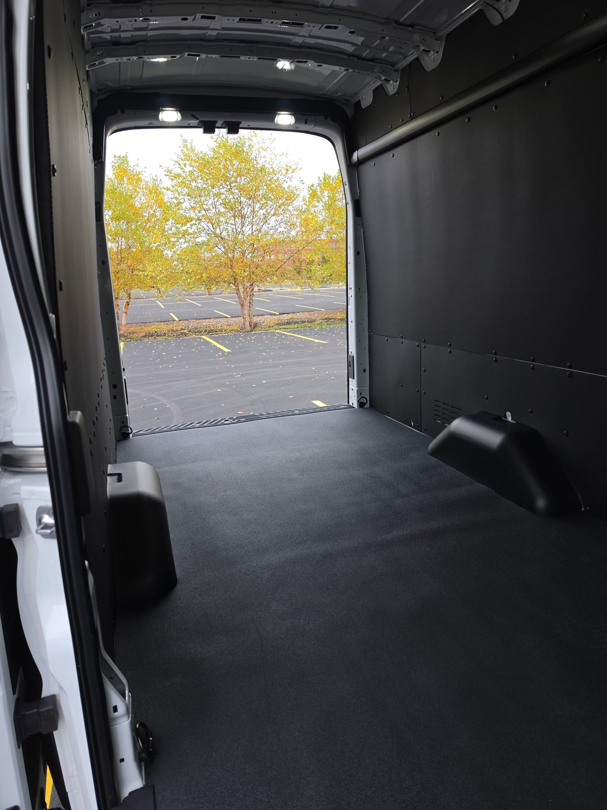 Inside the cargo bay looking out the rear doors